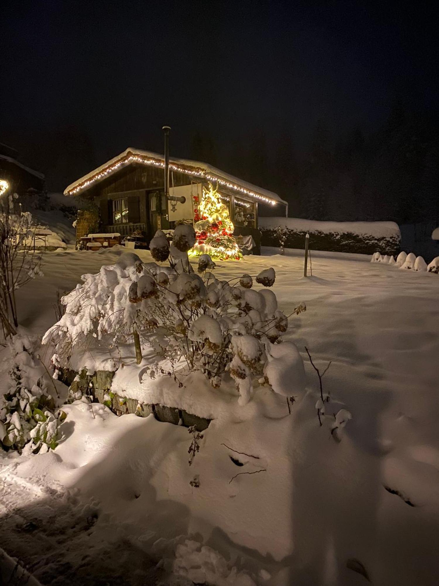 Das Alte Forsthaus Spiegelhuette Lindberg Kültér fotó