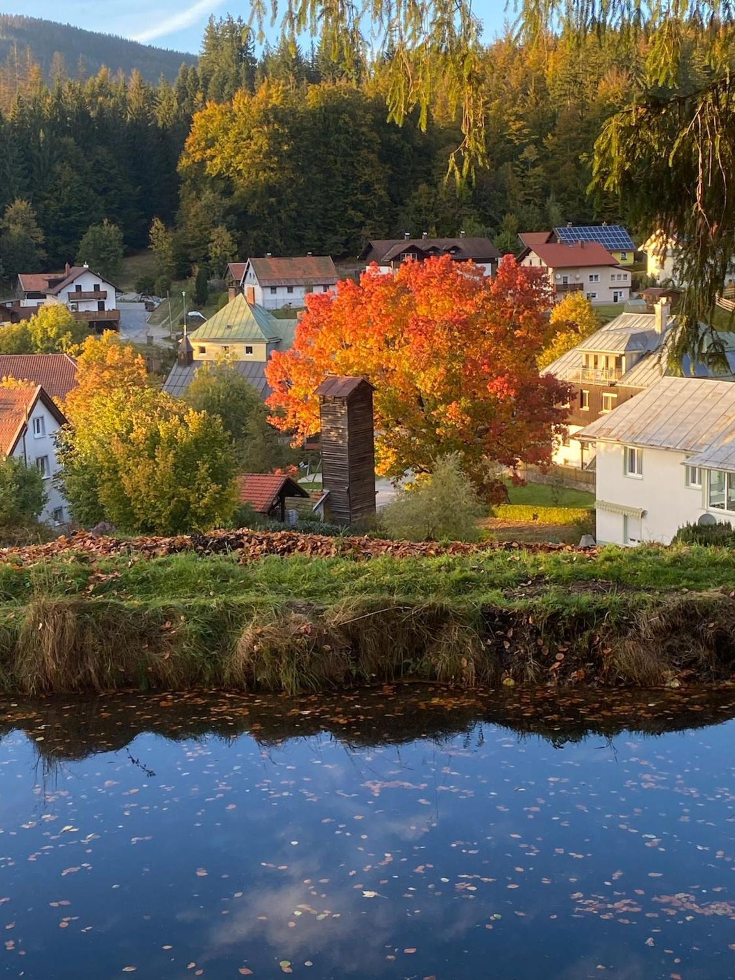 Das Alte Forsthaus Spiegelhuette Lindberg Kültér fotó