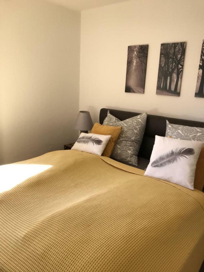 Das Alte Forsthaus Spiegelhuette Lindberg Kültér fotó