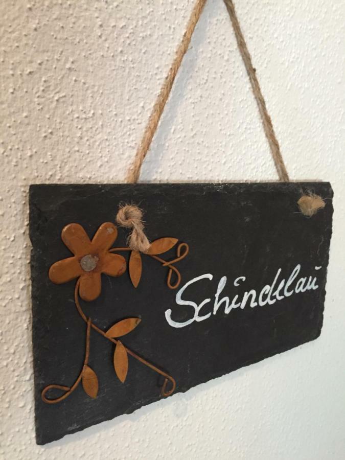 Das Alte Forsthaus Spiegelhuette Lindberg Kültér fotó