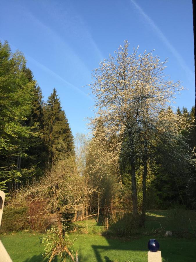 Das Alte Forsthaus Spiegelhuette Lindberg Kültér fotó